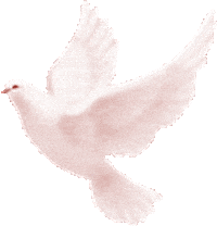 peace dove STICKER
