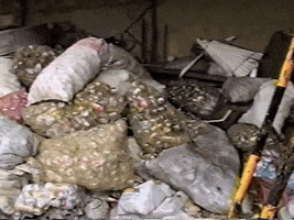 Vintage Vhs GIF by jorgemariozuleta