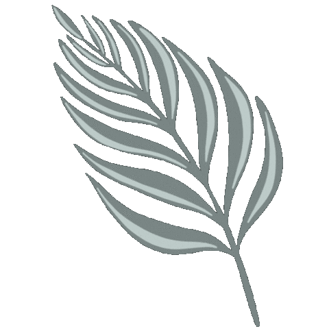 HollyObee giphyupload plant tree leaf Sticker