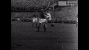 Celebrate Danish Film GIF by Det Danske Filminstitut