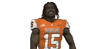Football Sport Sticker by Carson-Newman Athletics