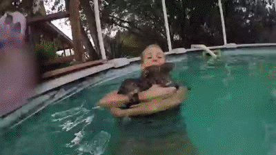 otter GIF