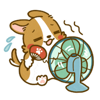 Welsh Corgi Puppy Sticker by Lazy Corgi