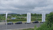 GIF by ZAQUENSIS