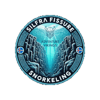 adventurevikings adventure vikings diving viking Sticker
