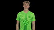Fail Go Home GIF by VfL Wolfsburg