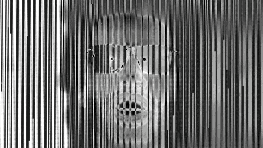 sci fi dream GIF by Sub Pop Records