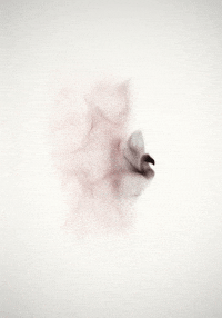 art GIF by Patakk