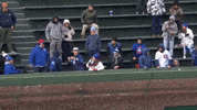 Throw It Back Wrigley Field GIF by TheDreamTeam 