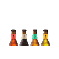 Guayacán Botellas Sticker by Cerveza Guayacán