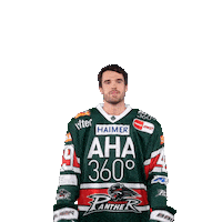 Del Clarke Sticker by Augsburger Panther Eishockey GmbH