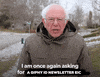 Once Again Bernie GIF by Tiffany