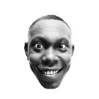 DIZZEERASCAL bass dizzee rascal bassline junkie we want bass Sticker