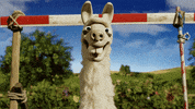 pop up llama GIF by Shaun the Sheep