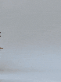 Snail GIF by TeaCosyFolk