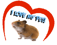 Guinea Pig Love Sticker