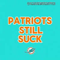Dolphins GIF