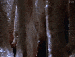 x files GIF by The X-Files