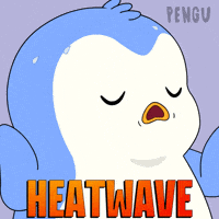 Summer Sweating GIF by Pudgy Penguins