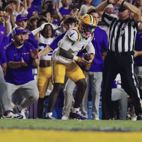 College Football GIF by LSU Tigers