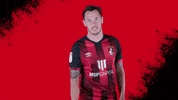 Happy Football GIF by AFC Bournemouth
