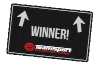 Sport Team Sticker by TeamSport Indoor Karting