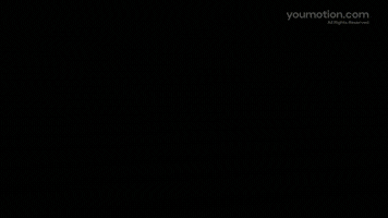 Followers Typography | Video |You Motion