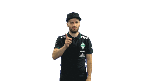 Fifa Playstation Sticker by SV Werder Bremen