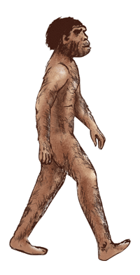 Megmorize sangiran Sticker