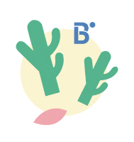 mar riviera maya Sticker by B the travel brand