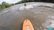 north carolina asheville GIF