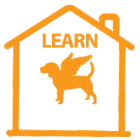 whenhoundsfly stayhome whf learnfromhome when hounds fly Sticker