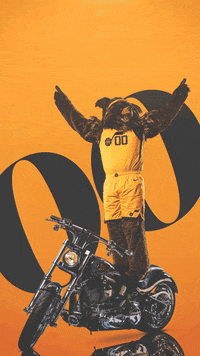 Live Wallpaper Jazz Bear GIF by Utah Jazz