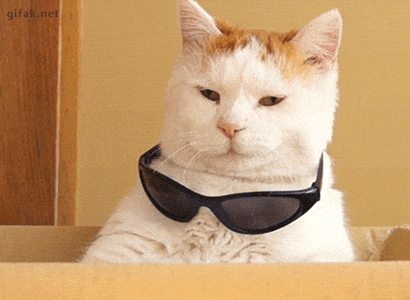 GIF by Demic