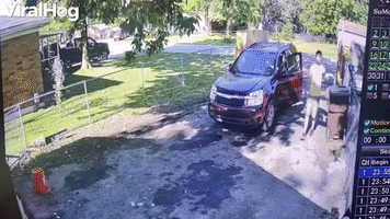 Quick Thinking Boy Dodges an Old Falling Tree