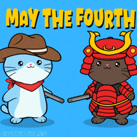 May The Fourth Be With You Darth Vader GIF by Silly Kitties