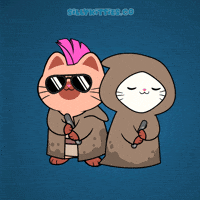 Star Wars Cute Cat GIF by Silly Kitties
