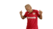 Happy Bayer Leverkusen Sticker by Bundesliga