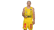 Ewe Baskets Sport Sticker by EWE Baskets Oldenburg
