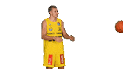 Ewe Baskets Sport Sticker by EWE Baskets Oldenburg