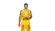 Ewe Baskets Sport Sticker by EWE Baskets Oldenburg