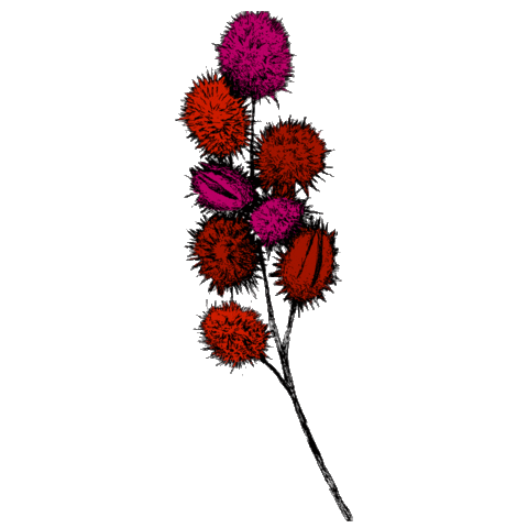 Makeup Flowers Sticker by Smart Maquillaje