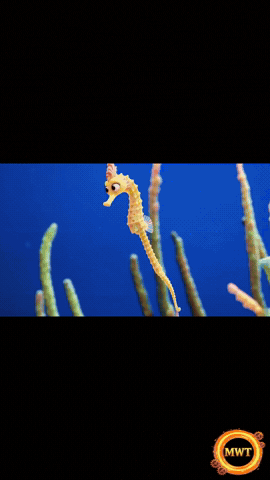 3Danimation GIF