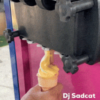 Ice Icecream GIF by dj sadcat