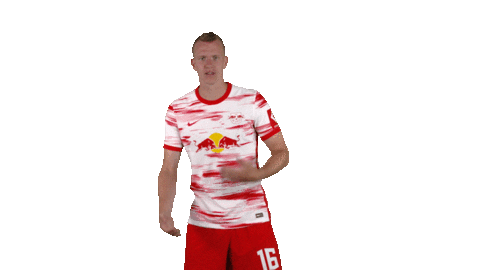 Motivate Lets Go Sticker by RB Leipzig