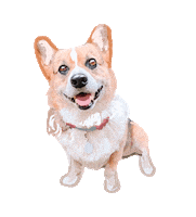 Corgi Sticker