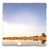 Rustico Duvido Sticker by Zezé Di Camargo