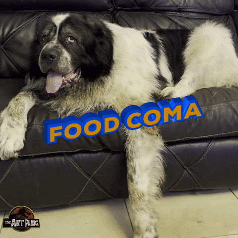 Too Much Dogs GIF by Marcel Katz Dalí / The Art Plug