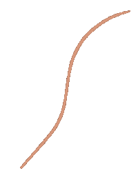Line Curve Sticker