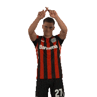 Ar Assist Sticker by Bayer 04 Leverkusen